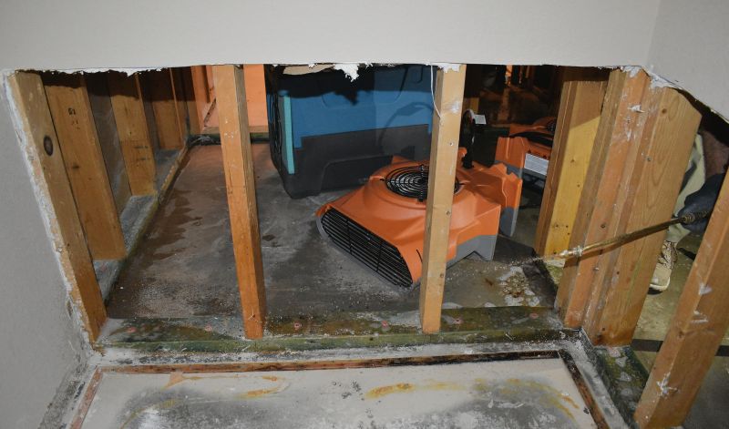 Crawlspace Water Cleanup detail